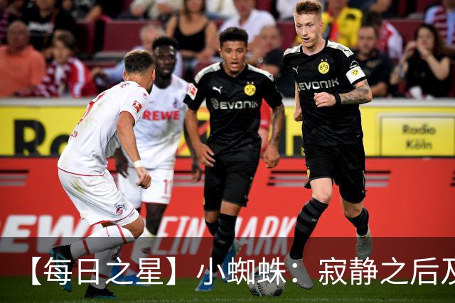 【每日之星】小蜘蛛：寂静之后及时归来 关键时刻轰世界波