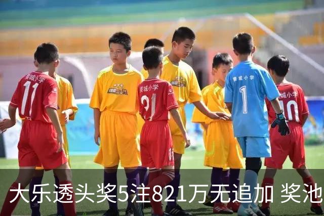 大乐透头奖5注821万无追加 奖池余额8.18亿元