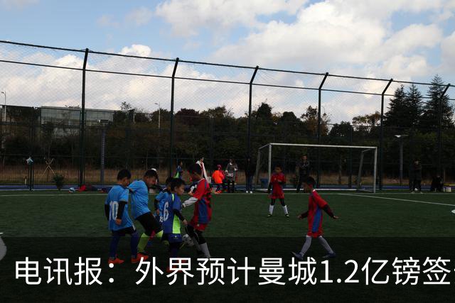 电讯报：外界预计曼城1.2亿镑签安德森 担忧这一价格引发连锁反应